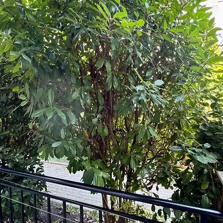 слънчево море Apartment Nesebar